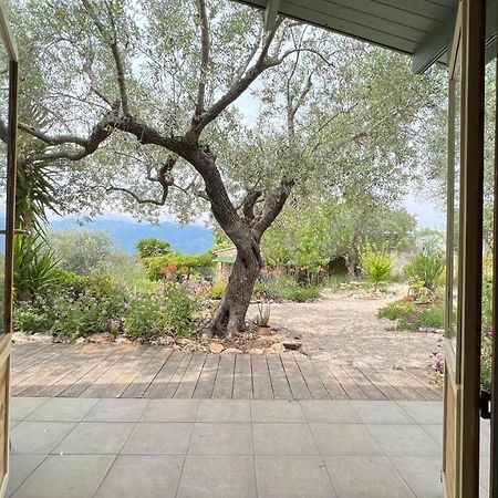 Finca Florecer Tivenys Exterior foto