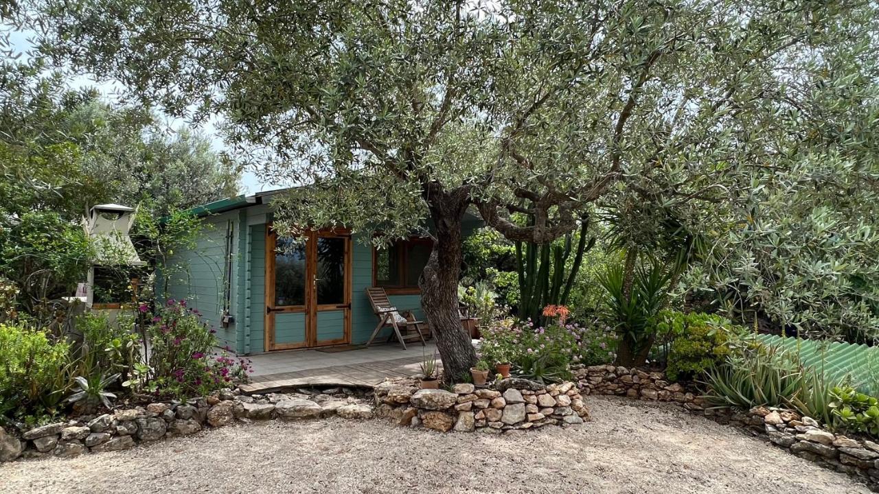 Finca Florecer Tivenys Exterior foto